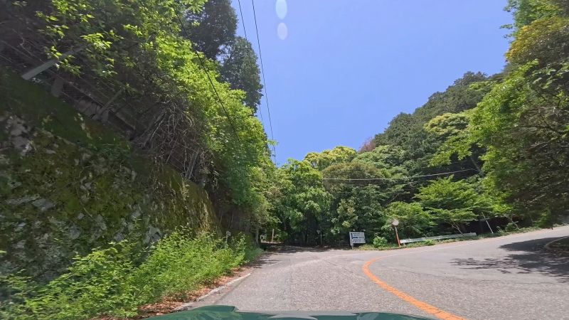 頼朝ライン
